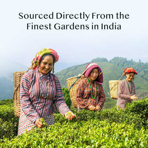 Vahdam Tea Castleton Premium Darjeeling First Flush Black Tea